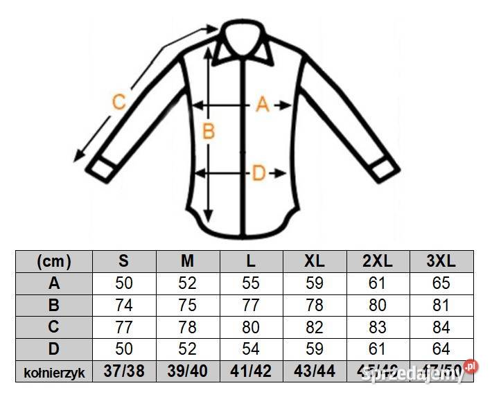 DANIEL BESSI Koszula Męska Fb052 Wesoła wielkopolskie Ostrów Wielkopolski