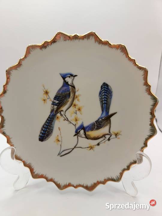 Talerz DEKORACYJNY MOTYW NATURY PIĘKNE PTAKI