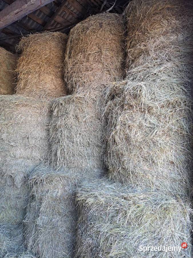 Sprzedam Słomę siano kiszonkę Błonie