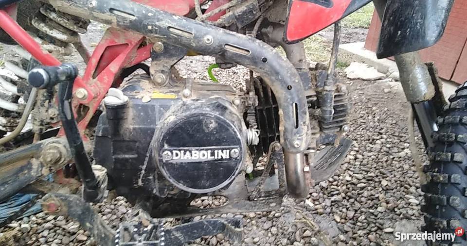 Diabolini 125 Brzozowa