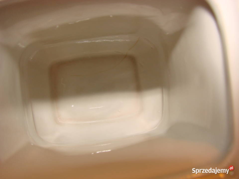 Lubiana wzór kaszubski pojemnik kuchenny pomorskie Pruszcz Gdański