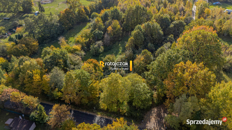 Grunt Ciekocino Dębowa 6066m2