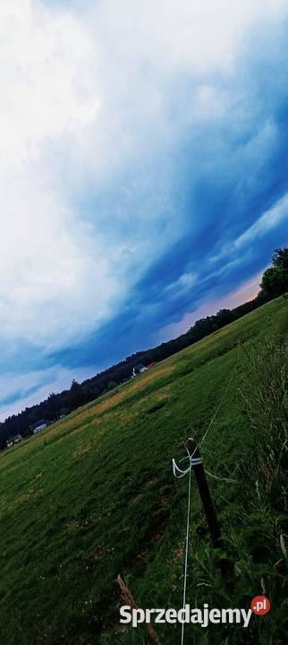 Działki na sprzedaż 50 m2 Nowogard Czermnica 3496m2