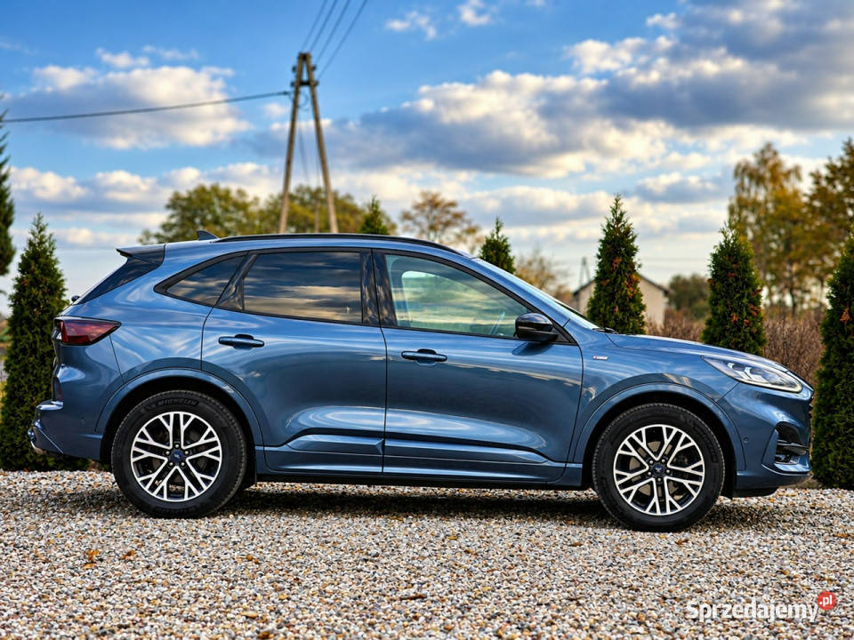 Ford Kuga III 2019 Sadlno