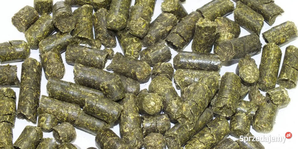 Trawokulki konia pasza karma Stargard sprzedam