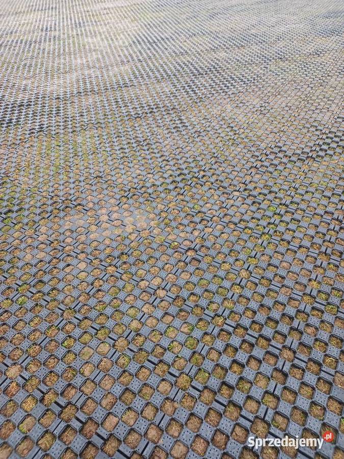 TerraGrid E 35 Stabilizacja Gruntu Wzmacnianie Bydgoszcz sprzedam
