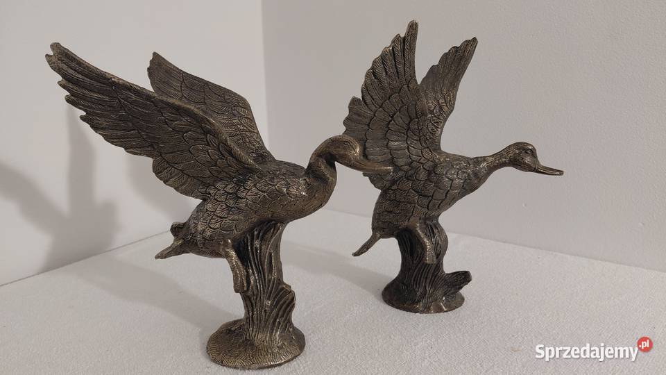 Para Posrebrzanych Figur kaczek małopolskie Krzykawa