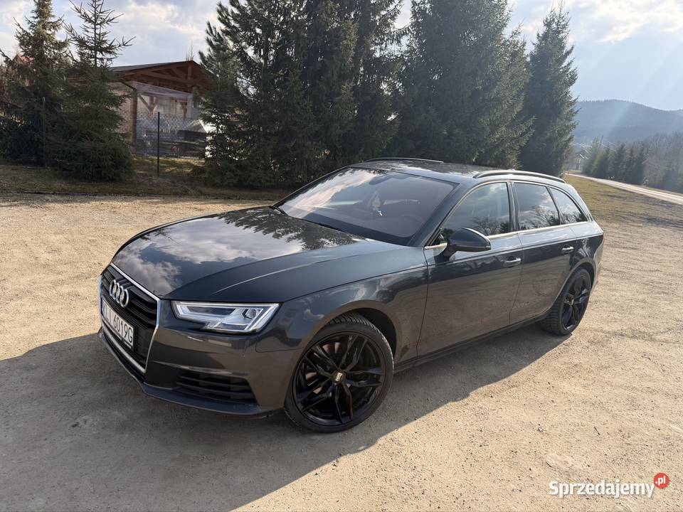 Audi A4 B9 2019 20 TDI Alufelgi 19 Świeżo Nowe Rybie