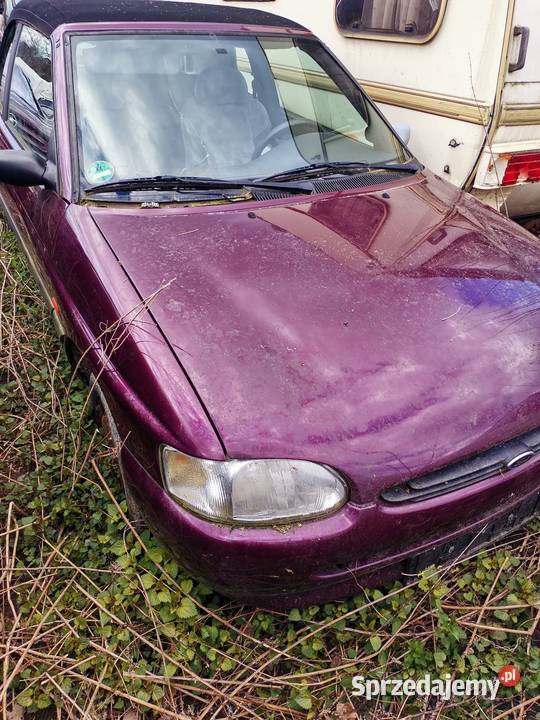 Sprzedam wszystkie części do Renault escort Gubin