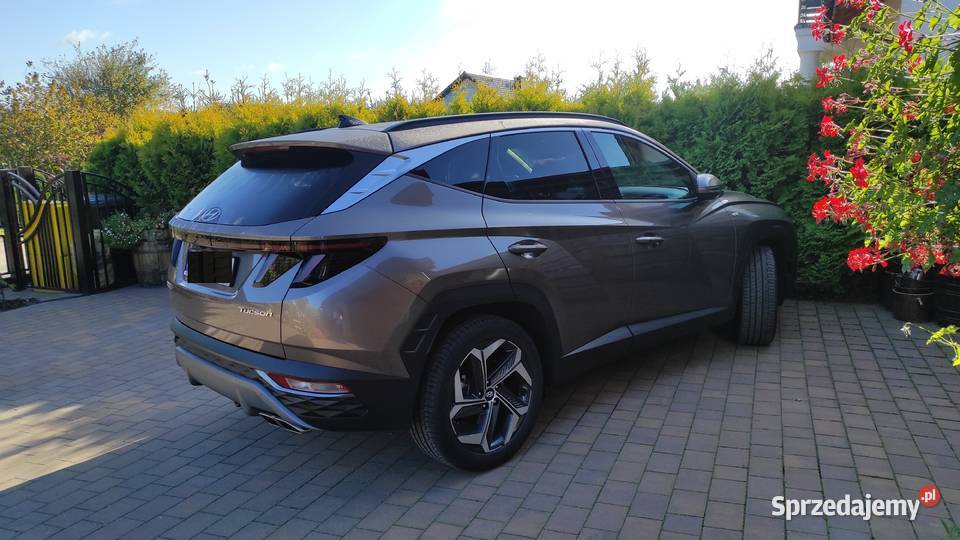 Hyundai Tucson Platinum mHev 2wd Silky Brown NA 104000km Goleniów