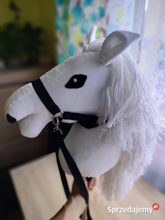 Hobby Horse Skippi dolnośląskie Wrocław