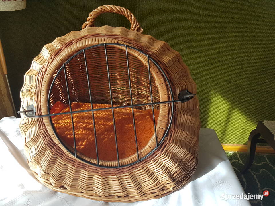 Transporter kota Tarnowskie Góry