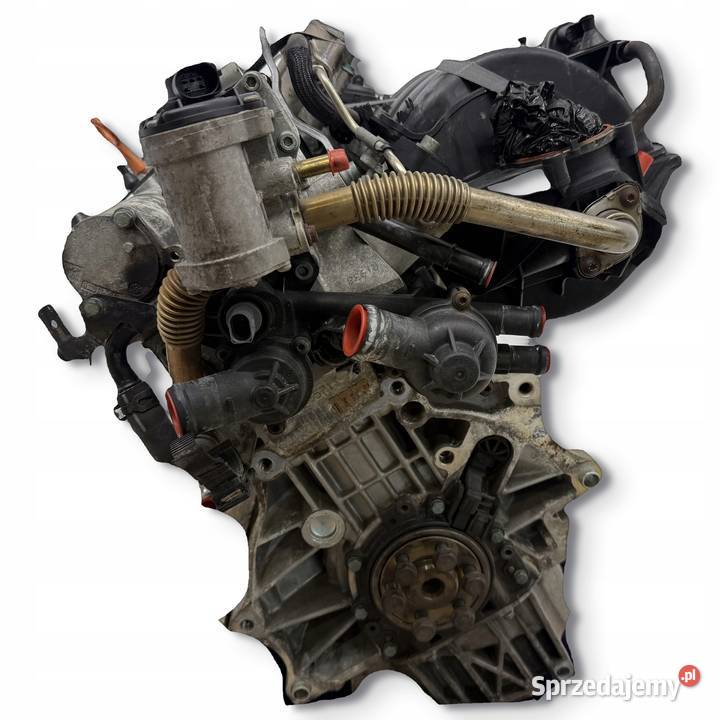 SILNIK BLF VW Touran Golf V Eos Jetta III 16 FSI osobowe lubelskie Chełm
