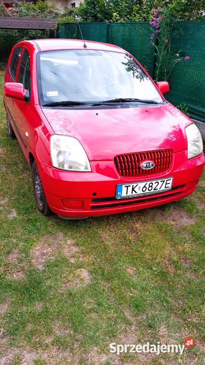 Kia Picanto Rok produkcji 2005 Kielce