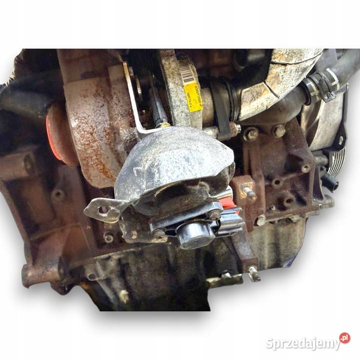 SILNIK G6DB Ford C C Focus MK2 20 TDCI 136 Chełm