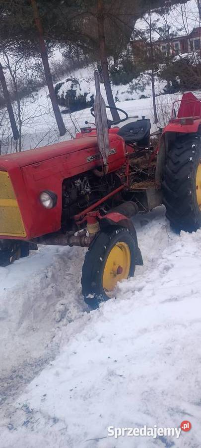 Ursus podkarpackie sprzedam