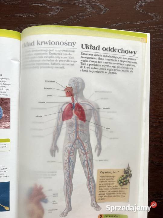 Świat przyrody atlas Częstochowa