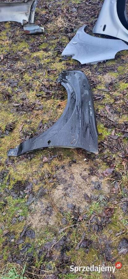 Błotnik Lewy Prawy Opel Vectra C Czarny Przed FL Żabno
