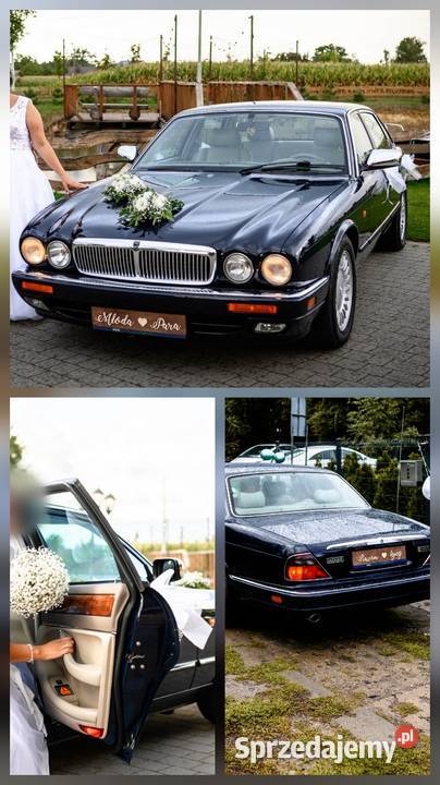 Jaguar XJ wynajem samochodu ślub