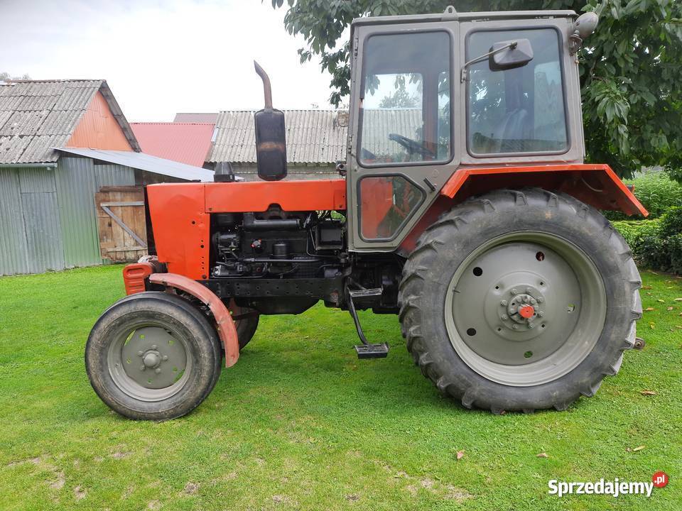 Białoruś jumz Belarus Rozkoszówka