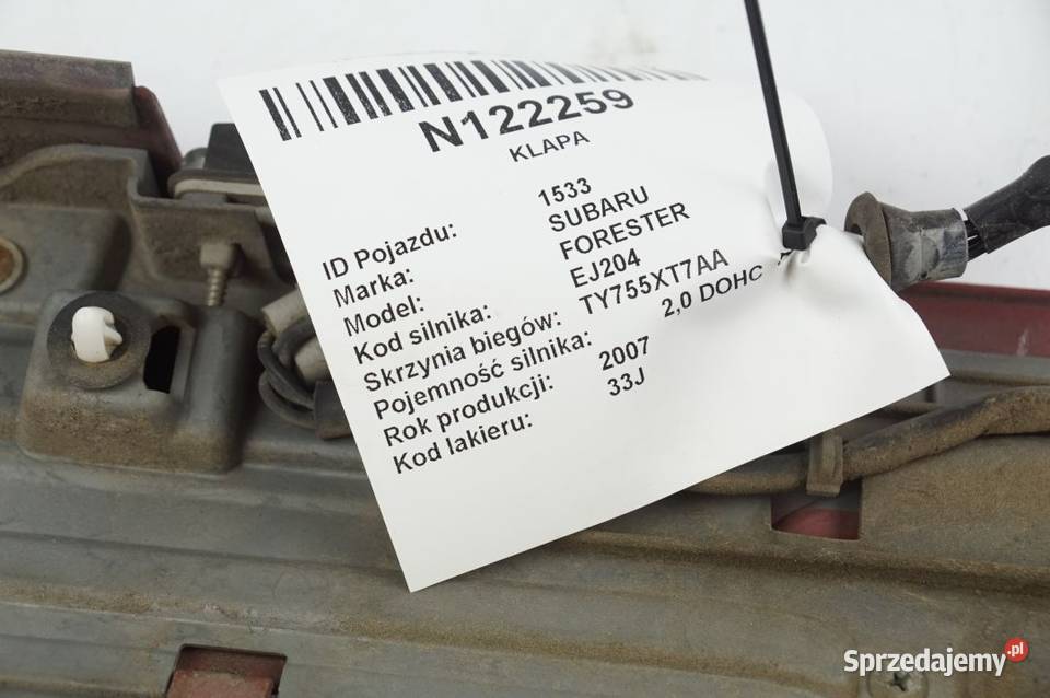 33J BLENDA FORESTER KLAPA Lipno