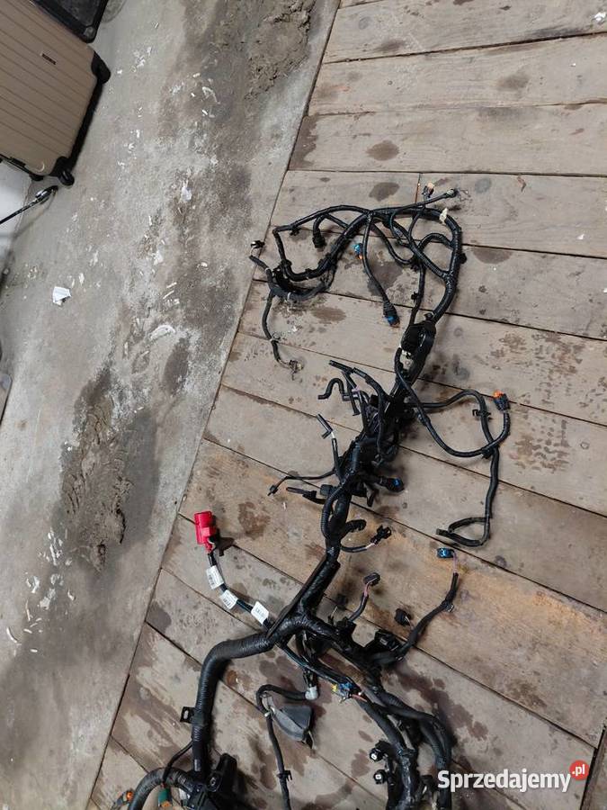 WIĄZKA SILNIKA RENAULT MASTER 3 2022 R Maleniska