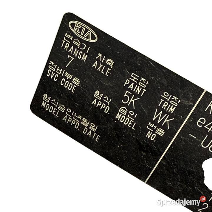 Drzwi tył tylne prawa Kolor K5 Kia Sportage II 2 Barłogi sprzedam