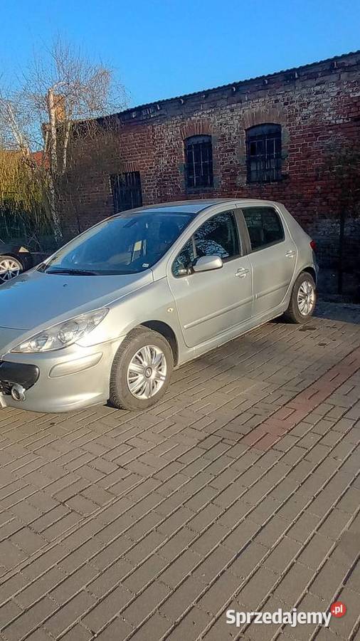 Peugeot 307 benzyna 16 Rok produkcji 2005 Malbork