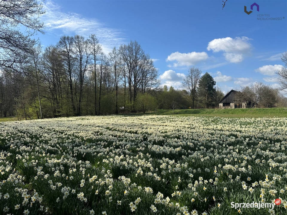 Sprzedaż gruntu Gostyń 2007m2 utwardzona