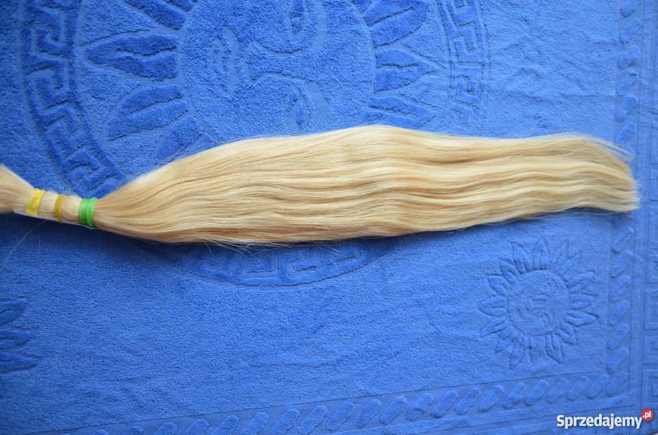 Włosy słowiańskie i dziewicze 51 97 g Wrocław