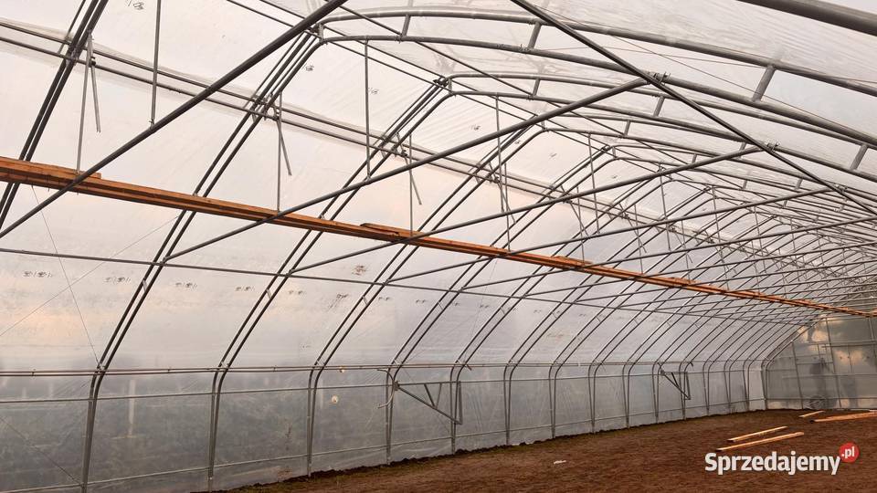 szklarnia Białystok