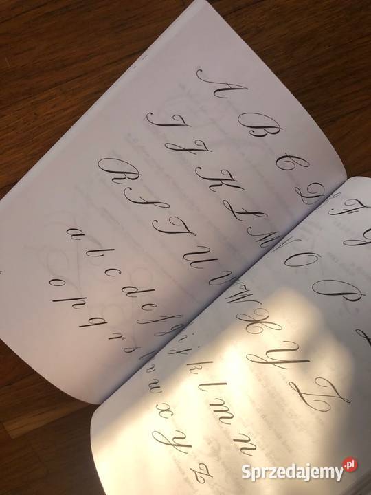 Script Lettering for Artists Tommy Thompson Szramowo