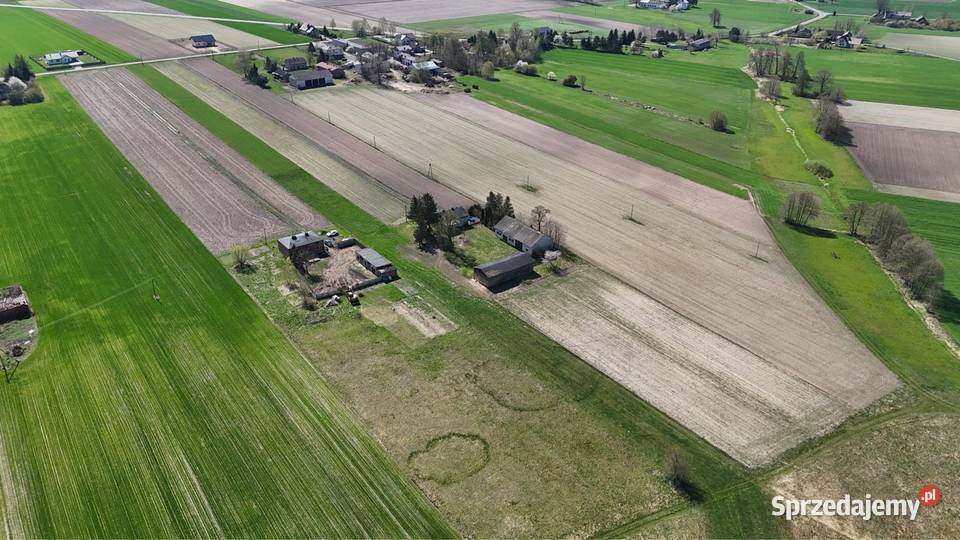 Sprzedam siedlisko polna sprzedam