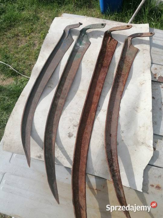 Kosy świętokrzyskie