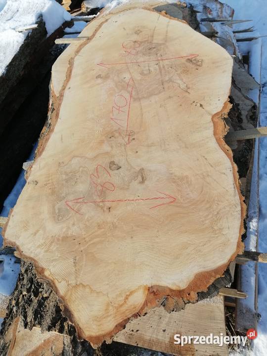 monolit 200x100x115x92 jesion stół blat Dąb Pozostałe Przysucha