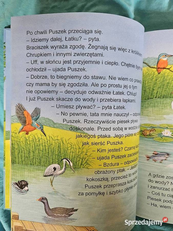 Książka Najpiekniejsz opowieści o zwierzętach Pozostałe Warszawa