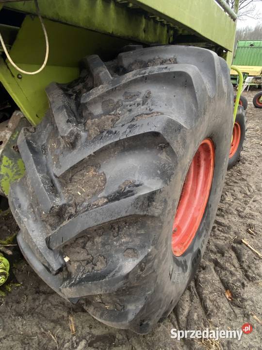 Sieczkarnia do kukurydzy claas jaguar 695 mega Ocięte