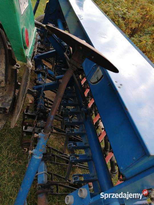 Siewnik Poznaniak Kozłówka