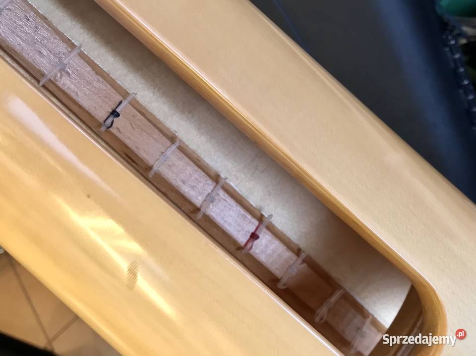 RESONANCE HARPS St Petersburg HARFA haczykowa Warszawa