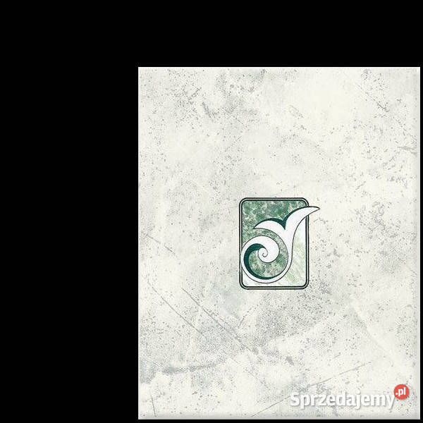 Dekor Rea 4K Domino 20 x 25 Tubądzin aktualne Białogard sprzedam