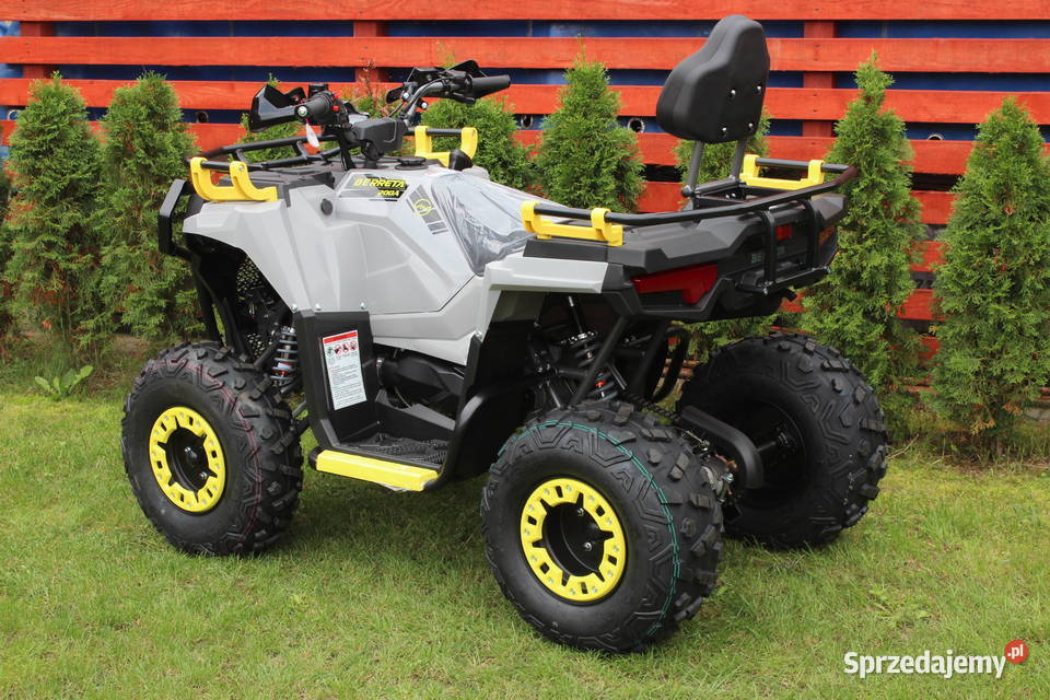 Quad 200 250 cc 4t Hammer Shinerau Bashan Goleniów