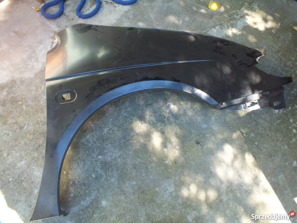 Błotniki Renaul senni Karoseria sprzedam