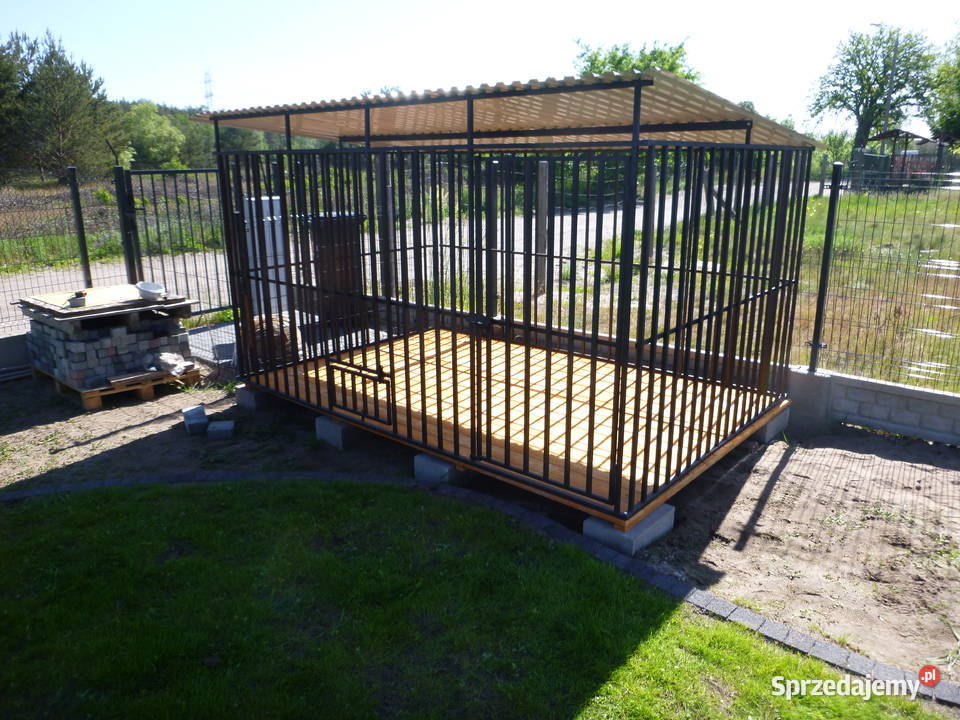 SPWANY CZARNY KOJEC PSA kojce MOCNE Zagroda Siedlce sprzedam