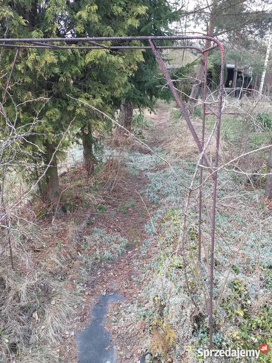 Ogród działkowy 380 m2 Bytom Odrzańska ROD polna