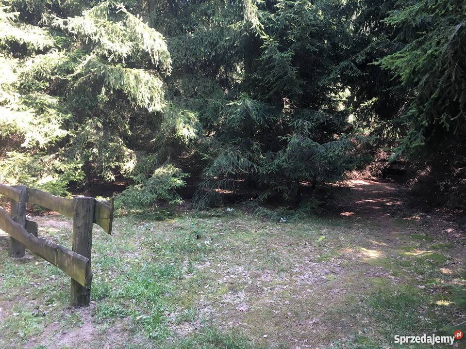 Dzialka rekreacyjna jeziorem Szwarcenowo