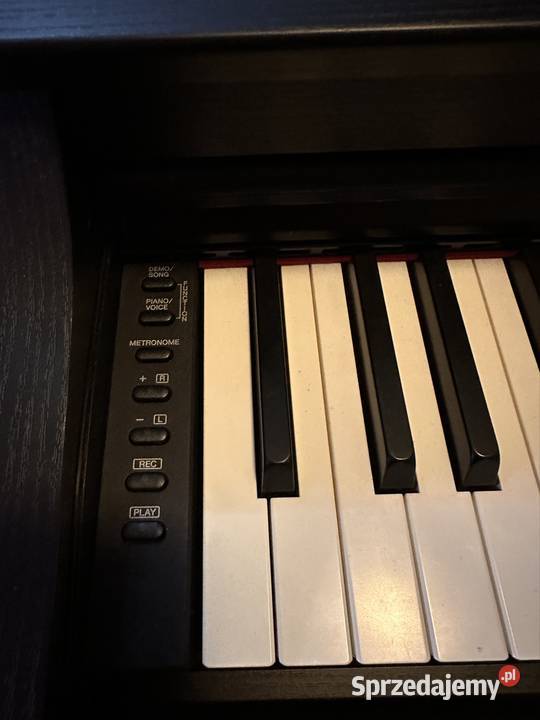 Yamaha YDP 163 Kobyłka