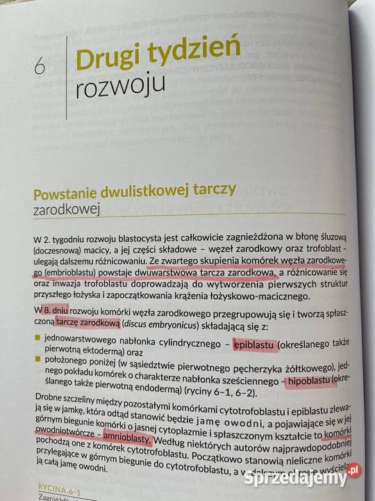 Embriologia Hieronim Bartel PZWL Aleksandrów Łódzki sprzedam