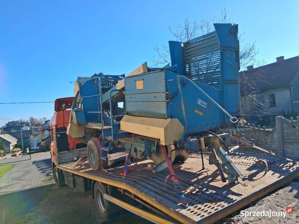 Kombajn ziemniaczany anna Kwaśniów Górny