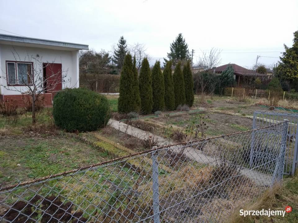 DZIAŁKA ROD TYSIĄCLECIE CZĘSTOCHOWA Częstochowa