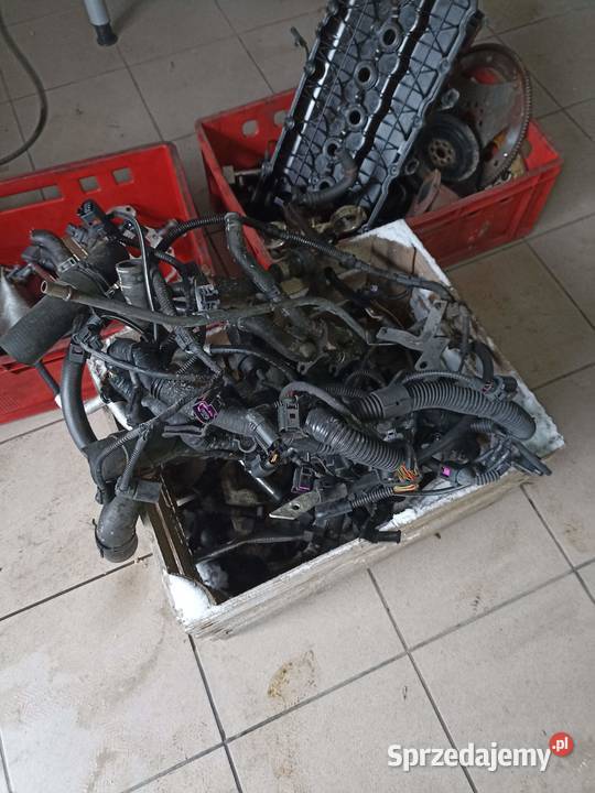 silnik VW Tuareg 36 FSI kod silnika CGR Silniki i osprzęt Radziejowice